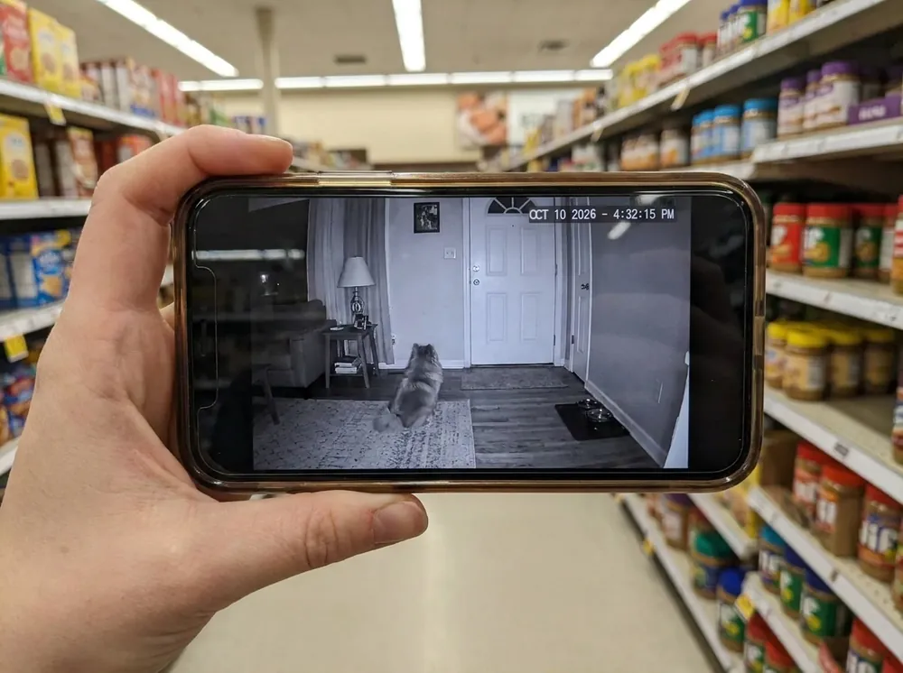 A phone in a grocery store showing a home camera view of the Pomeranian staring at the front door