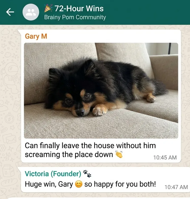 A real WhatsApp message from Gary M: Can finally leave the house without him screaming the place down.