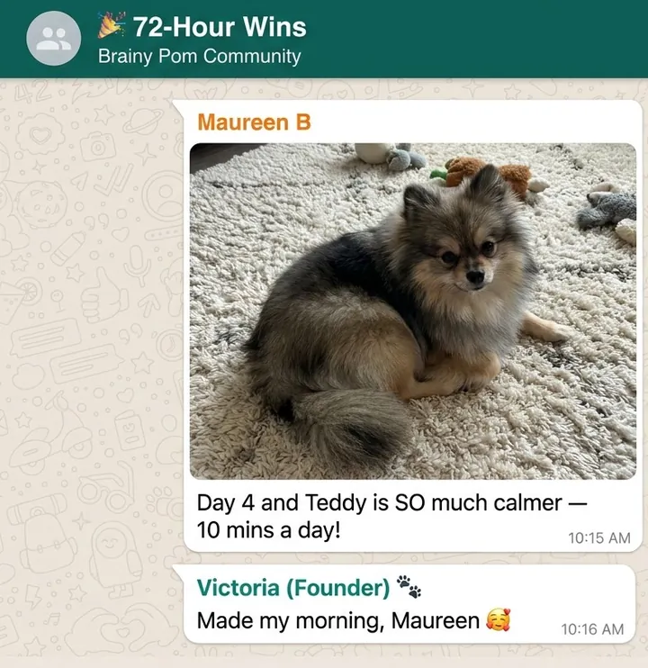 A real WhatsApp message from Maureen B: Day 4 and Teddy is SO much calmer, 10 mins a day!