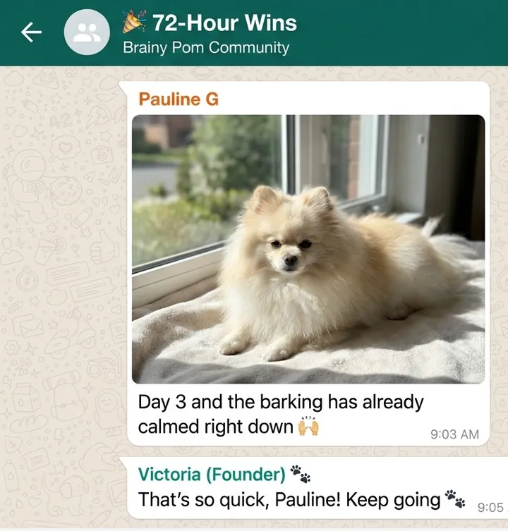 A real WhatsApp message from Pauline G: Day 3 and the barking has already calmed right down.