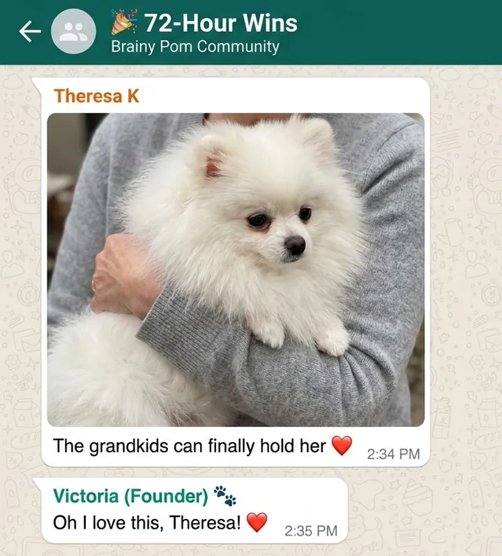 A real WhatsApp message from Theresa K: The grandkids can finally hold her.