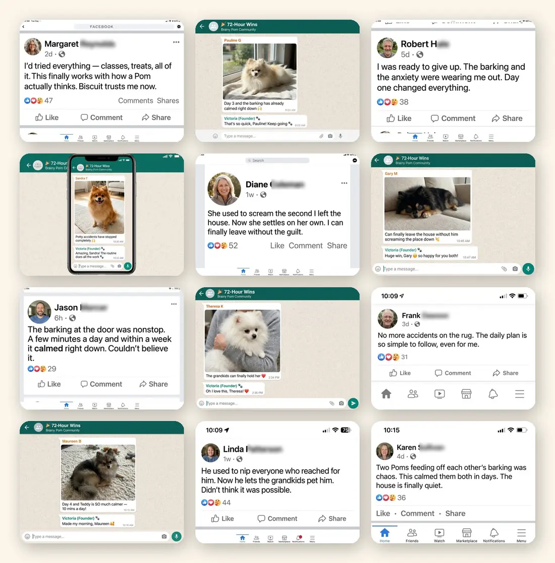 Real reviews from Pomeranian owners
